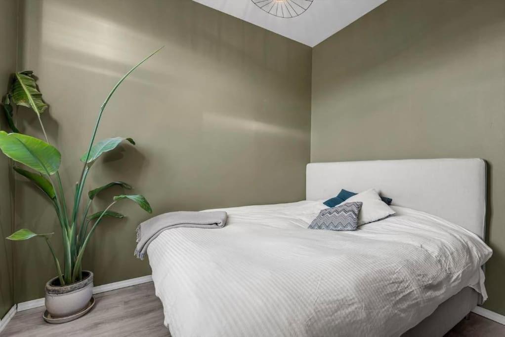 Newly Renovated - Oslo Downtown Apartment Ngoại thất bức ảnh