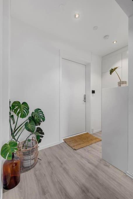 Newly Renovated - Oslo Downtown Apartment Ngoại thất bức ảnh